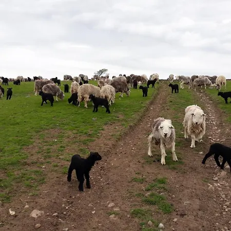 아파트 Windsor On The Big 