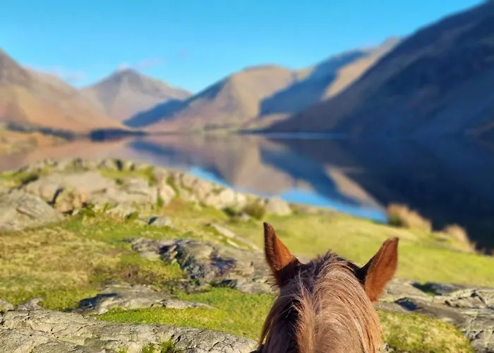 شقة Windsor On The Big 