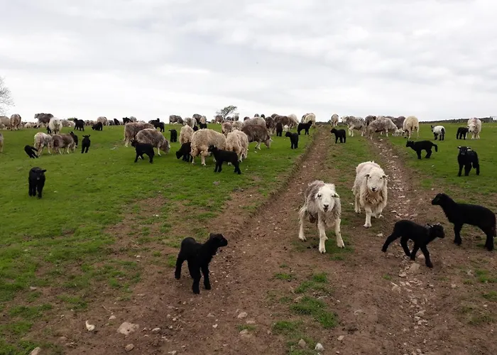 شقة Windsor On The Big 