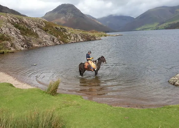 شقة Windsor On The Big 